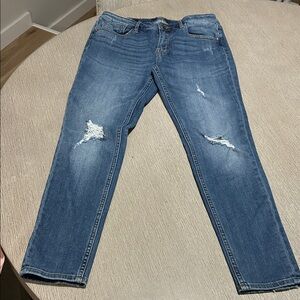 Vigoss Jagger Skinny Distressed Jeans